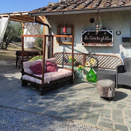 Bed and Breakfast La Casa Tra Gli Ulivi Cortona Exteriér fotografie