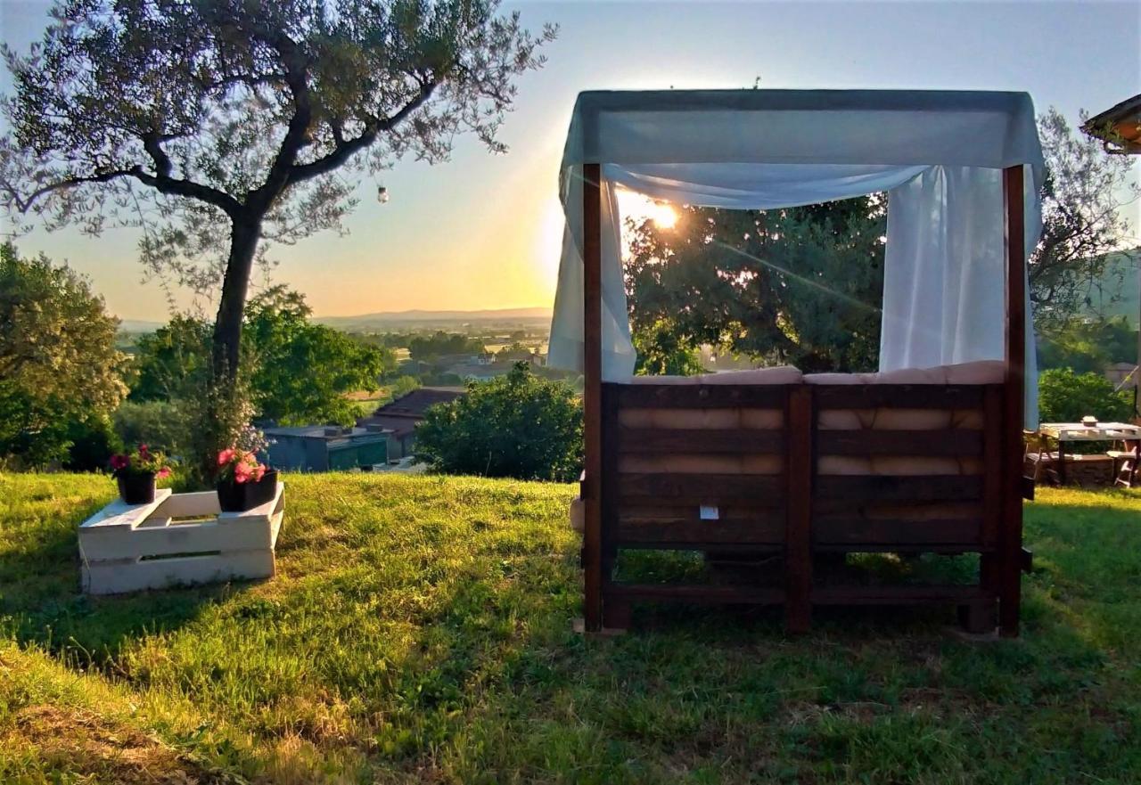 Bed and Breakfast La Casa Tra Gli Ulivi Cortona Exteriér fotografie