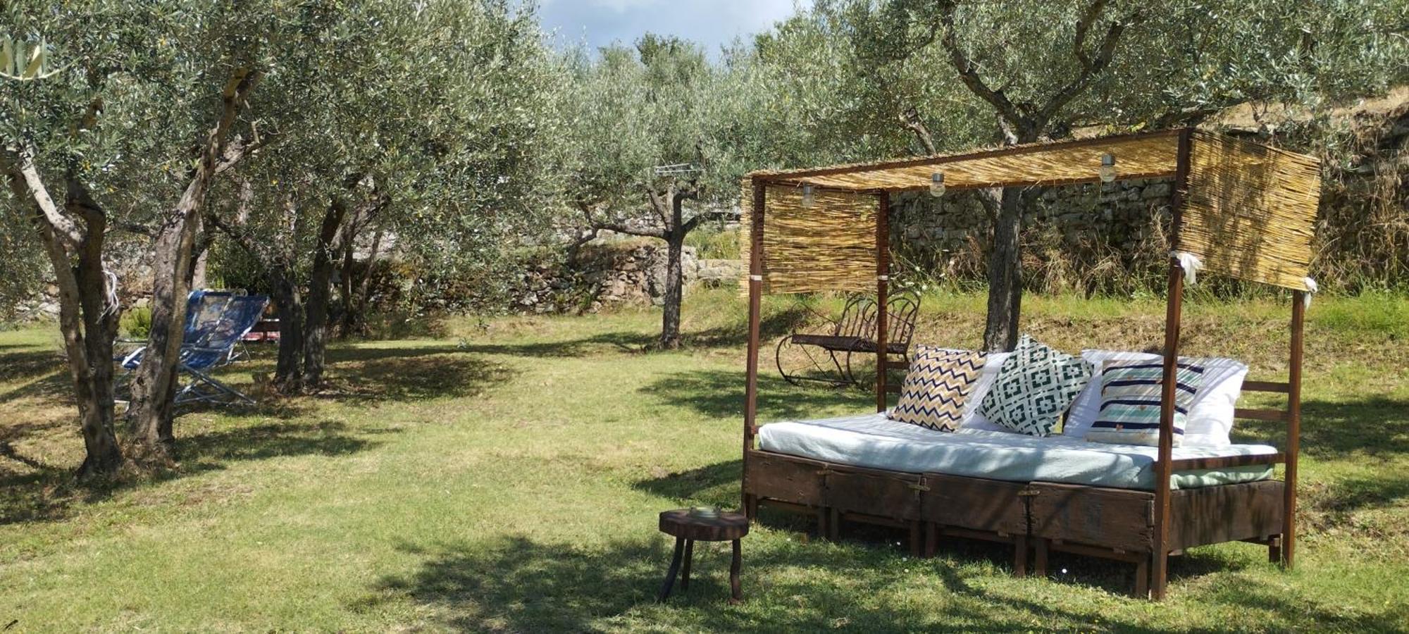 Bed and Breakfast La Casa Tra Gli Ulivi Cortona Exteriér fotografie