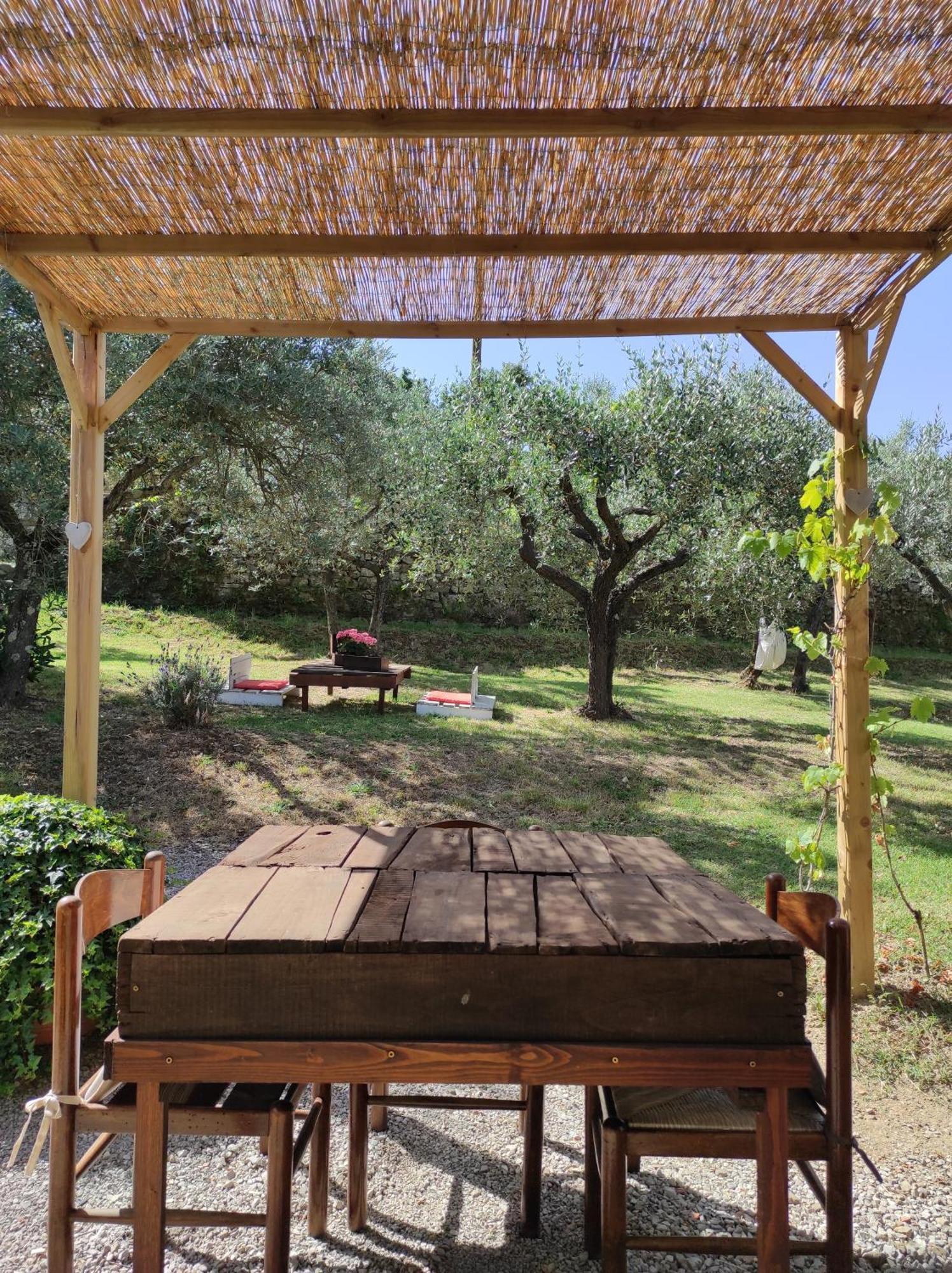 Bed and Breakfast La Casa Tra Gli Ulivi Cortona Exteriér fotografie